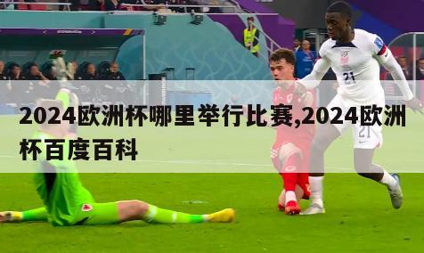 2024欧洲杯哪里举行比赛,2024欧洲杯百度百科