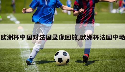 欧洲杯中国对法国录像回放,欧洲杯法国中场