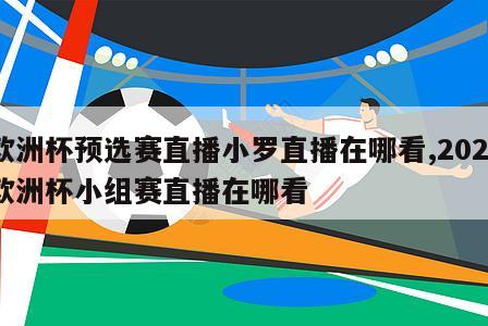 欧洲杯预选赛直播小罗直播在哪看,2021欧洲杯小组赛直播在哪看